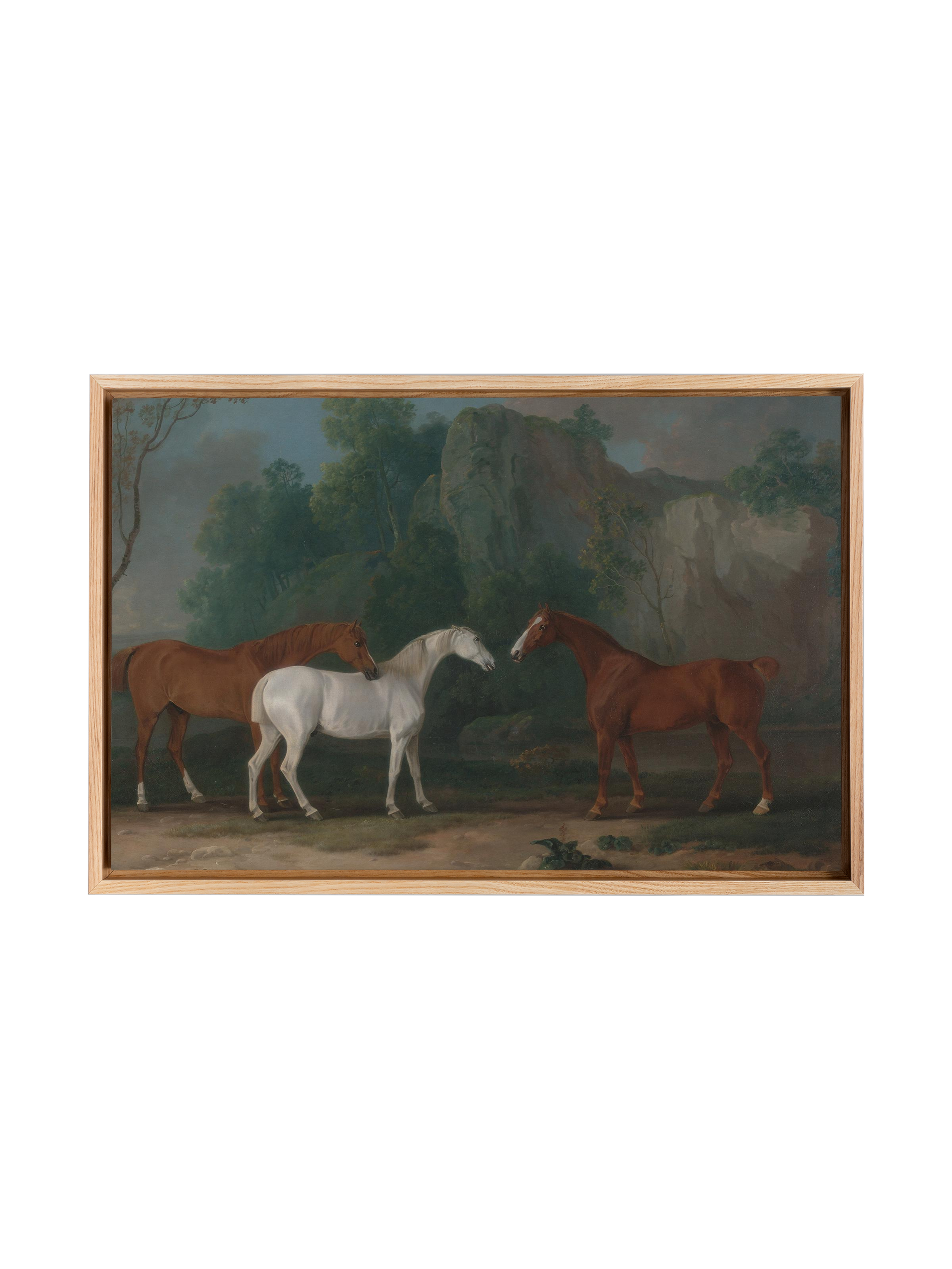 Three Horses | Canvas