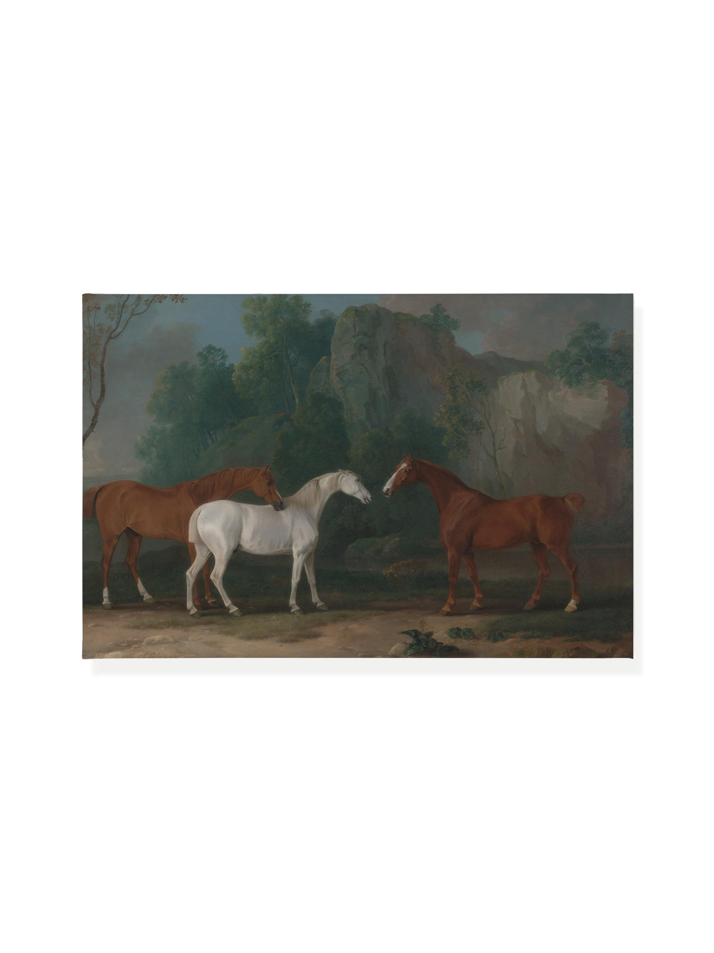 Three Horses | Canvas
