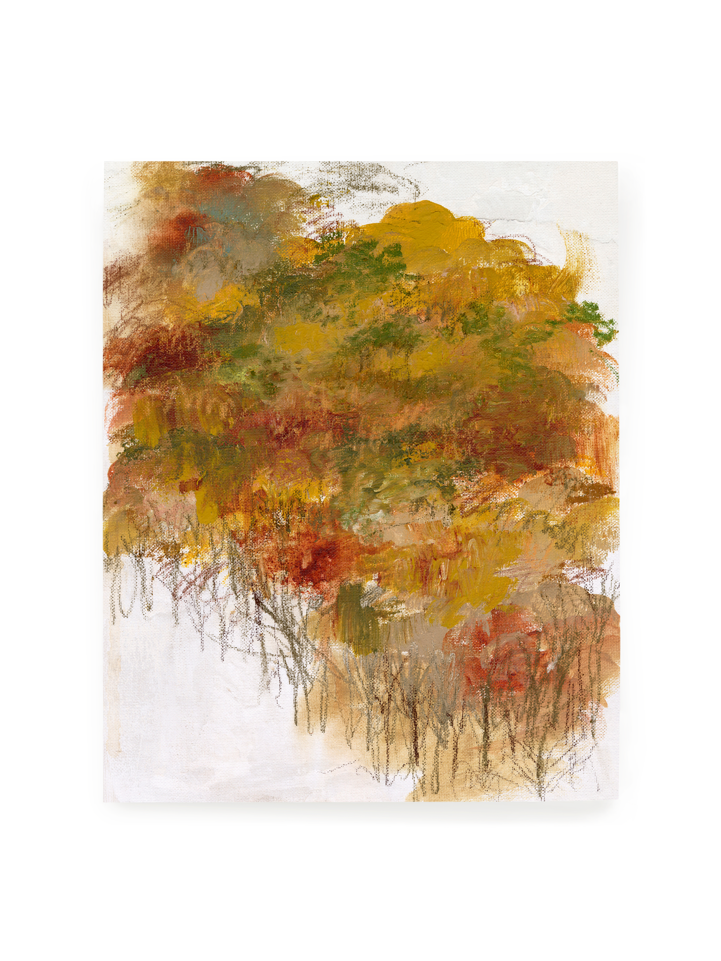 Driving Through Maine In The Fall | Art Print