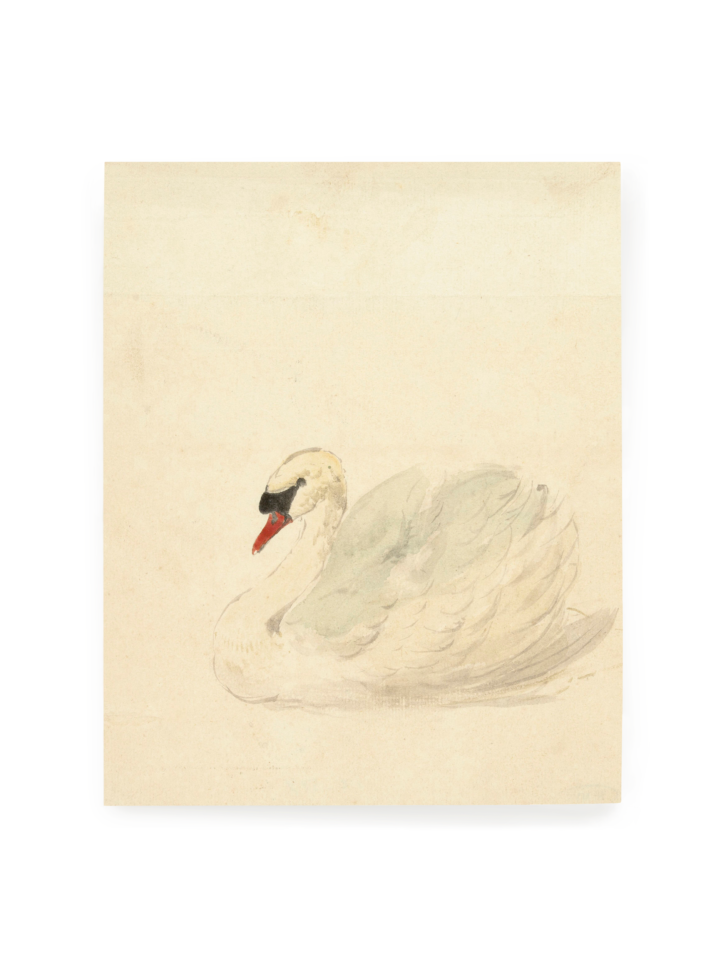 Ivory Swan Luxe Art Print