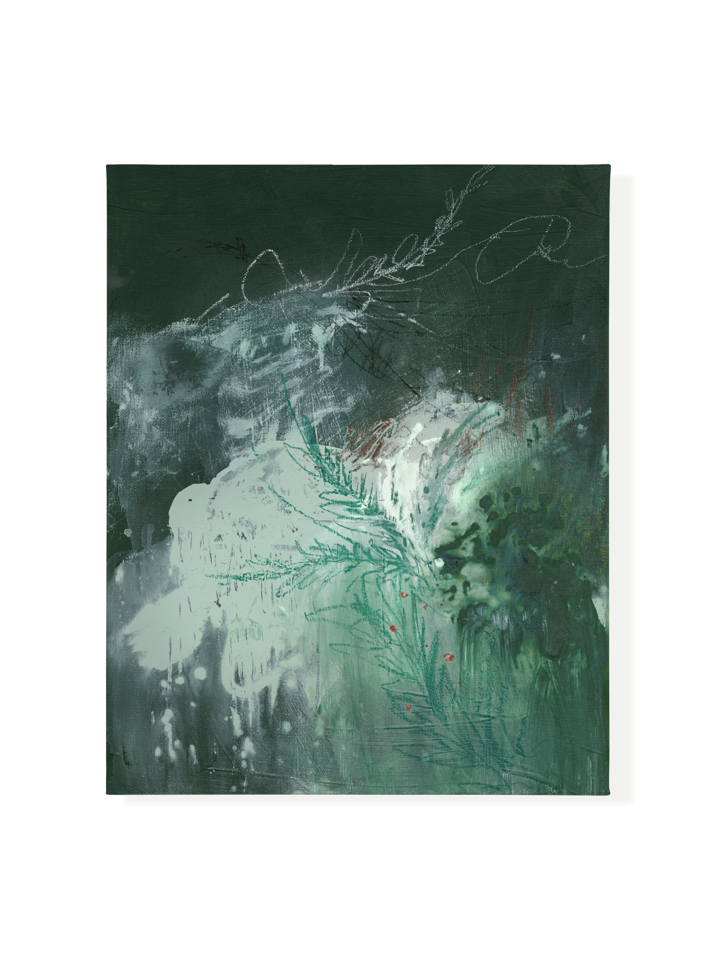 Balsam & Berries | Canvas