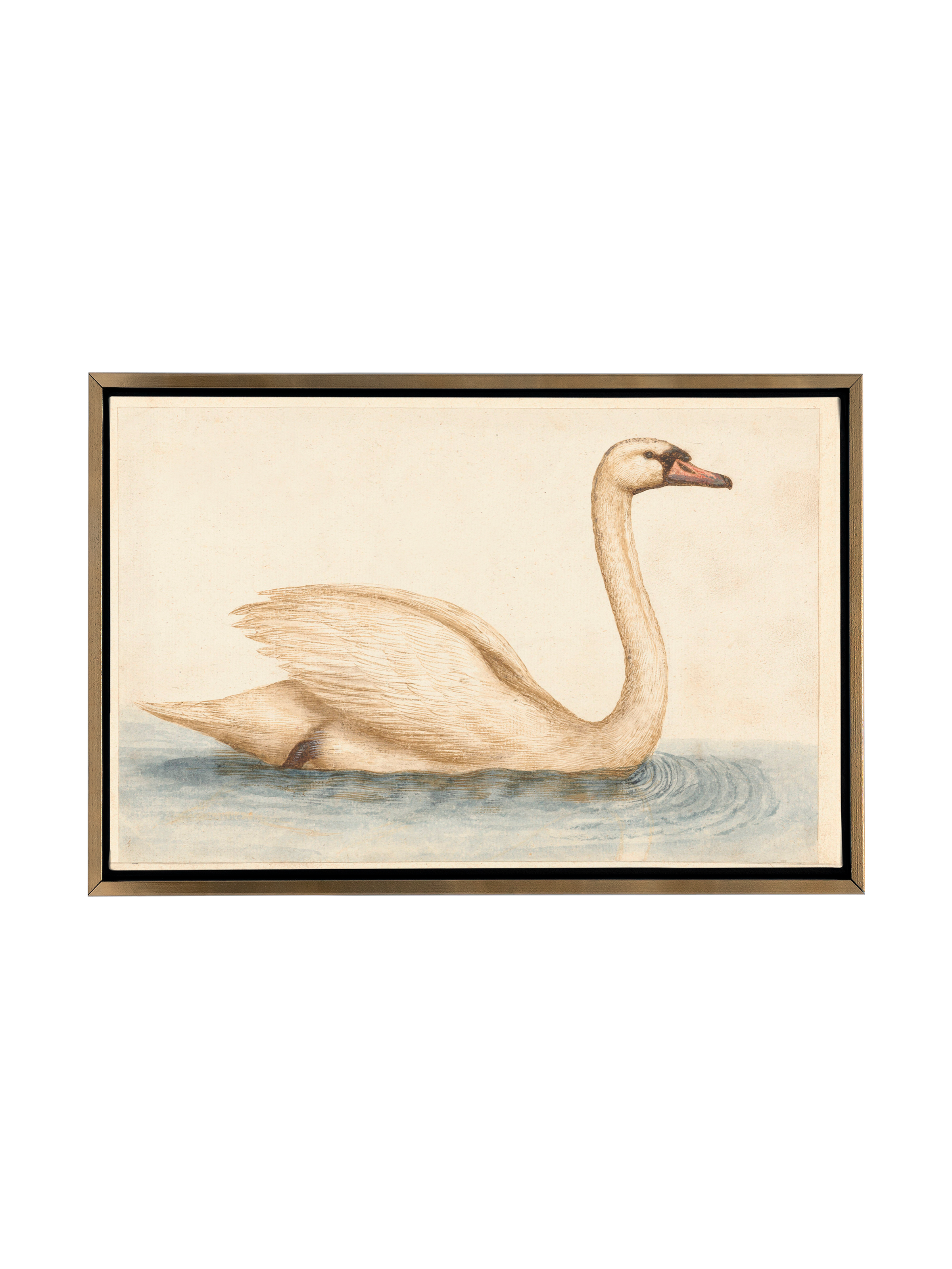 Vintage Swan | Canvas