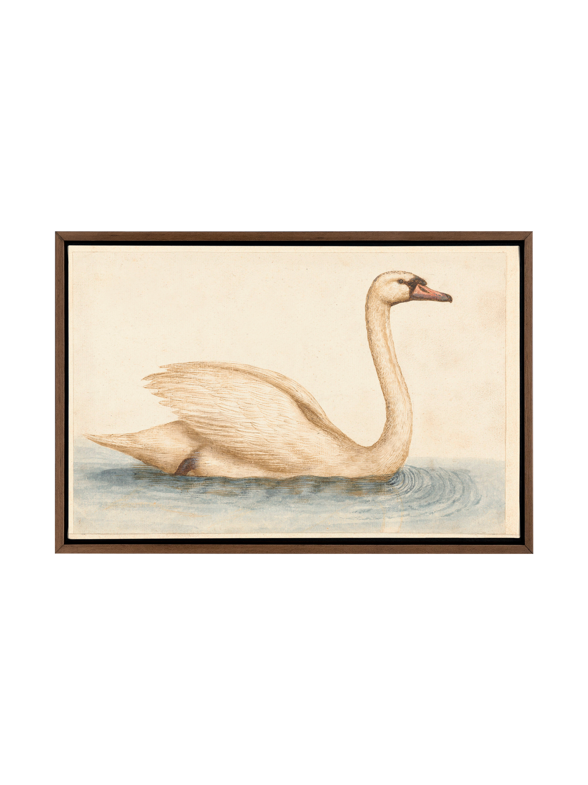 Vintage Swan | Canvas