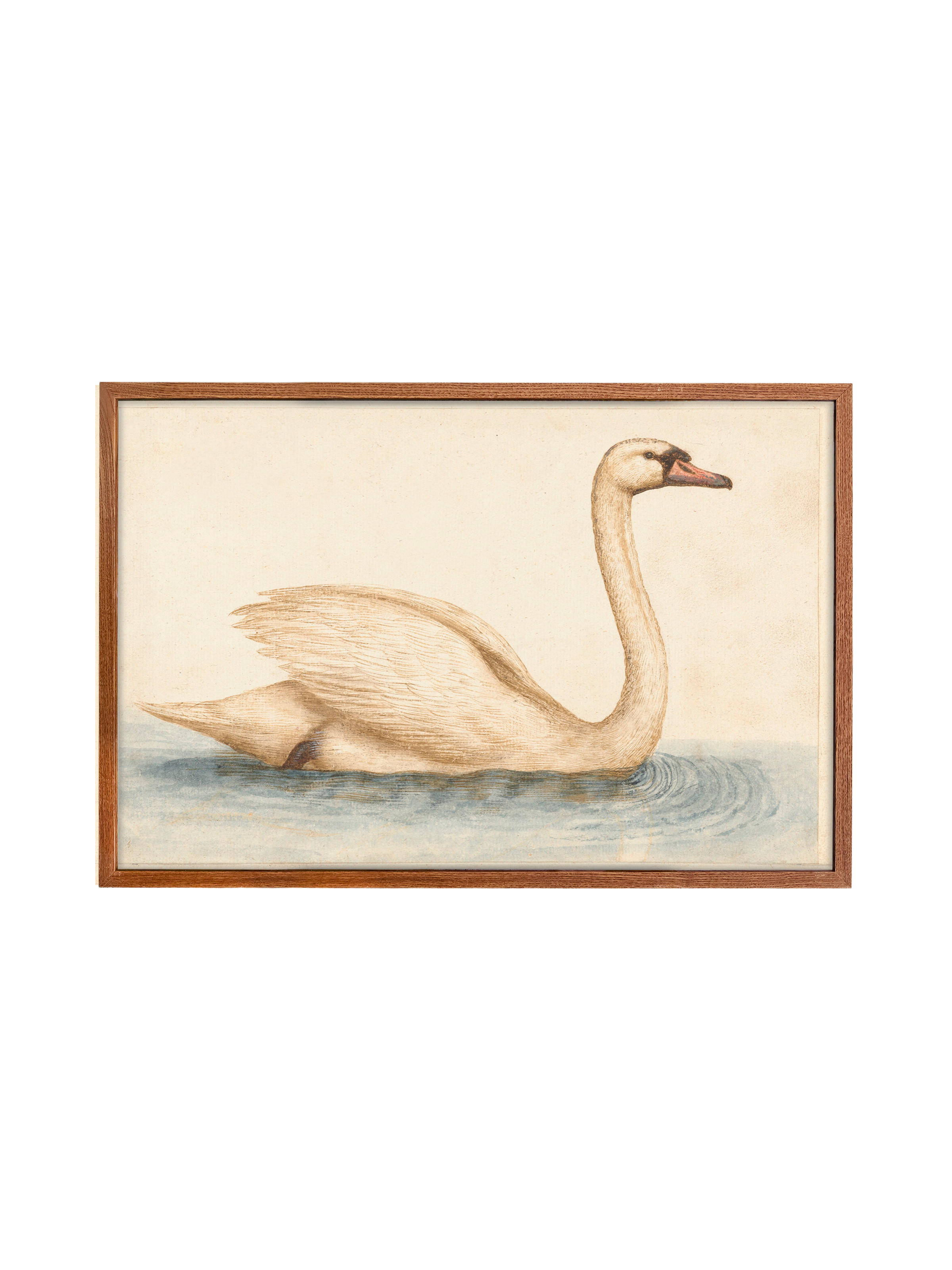 Vintage Swan | Canvas