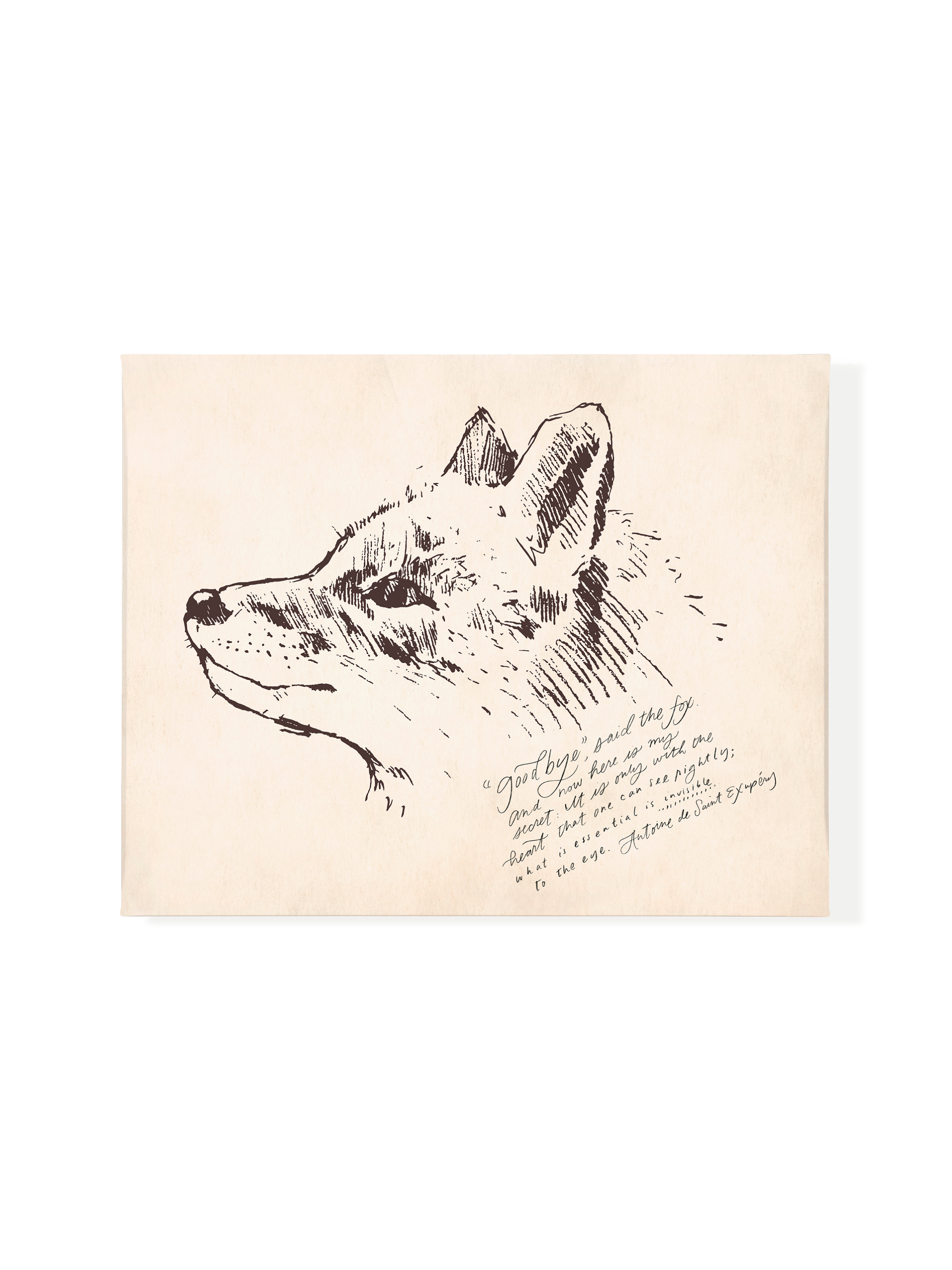 Wisdom from the Fox | Canvas