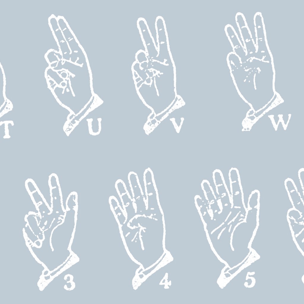 American Sign Language in Dusty Blue | Frame TV Art Design Details