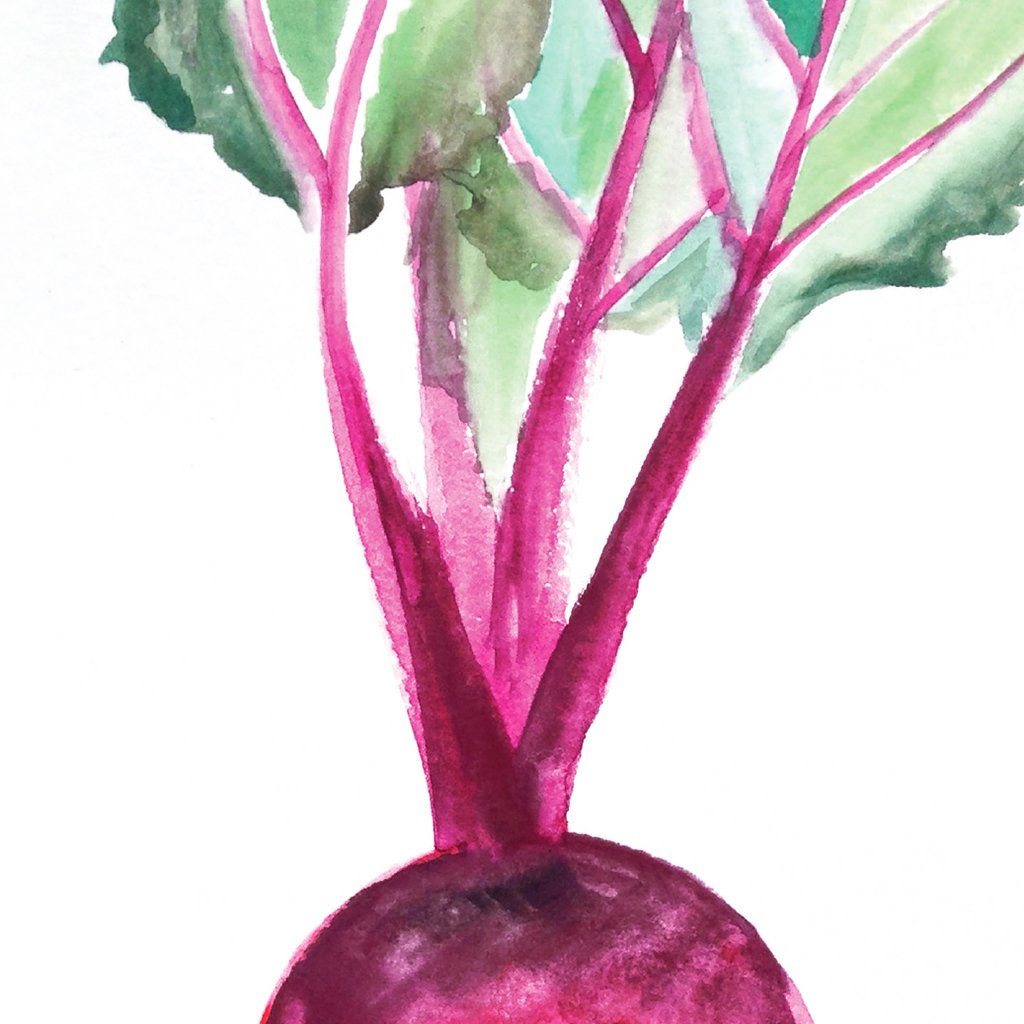 Beautiful Beet Download Design Details