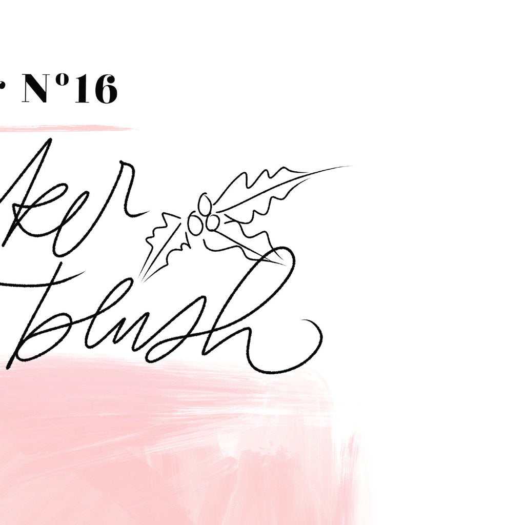 Holiday Color Theory: Nutcracker Ballet Blush Download Design Details