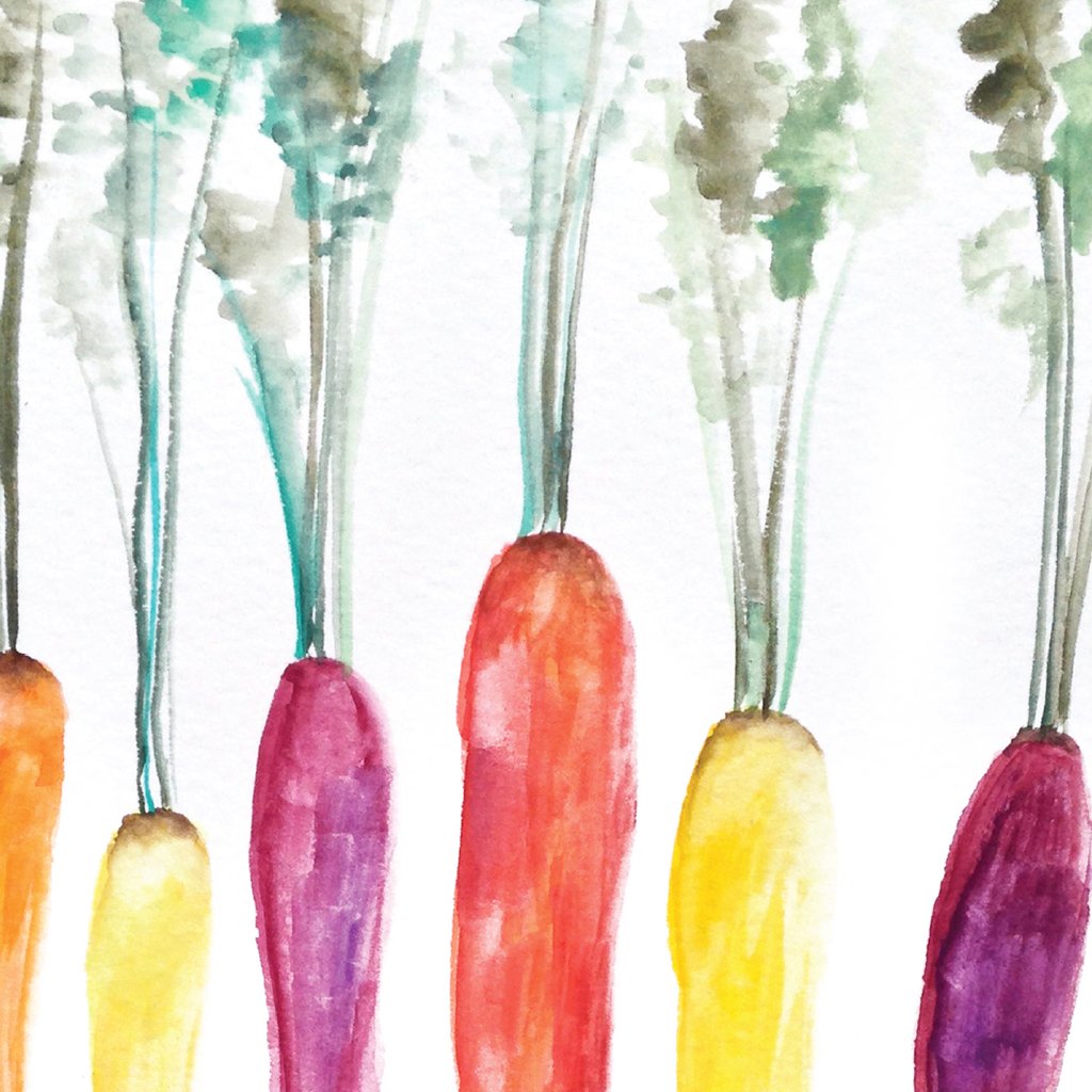 Heirloom Carrots Download Design Details