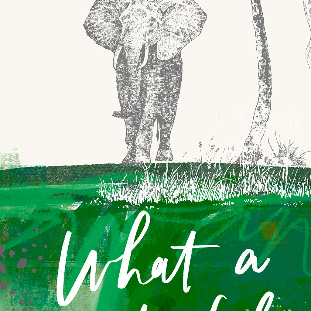 Safari Fun Design Details, Fun Edition