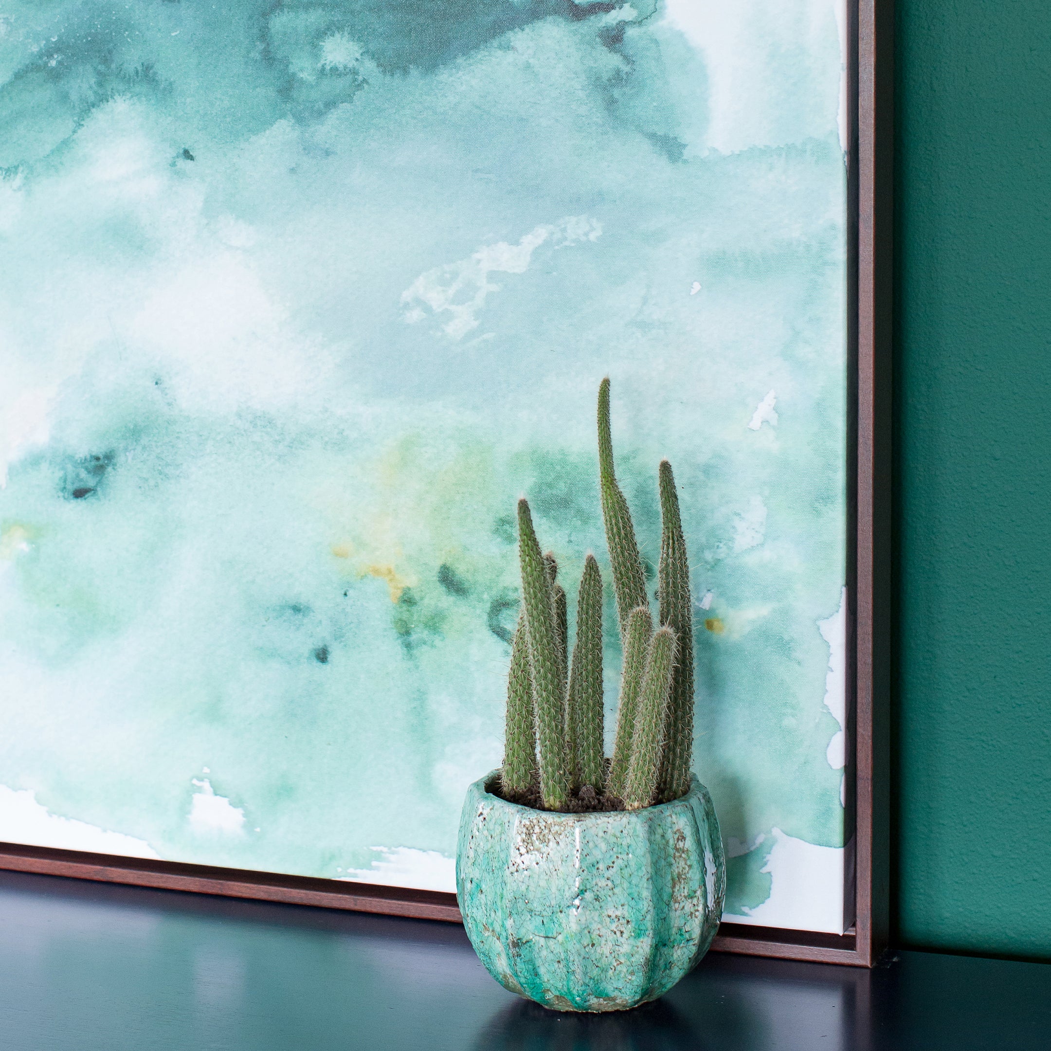 Pine on Snow | Canvas