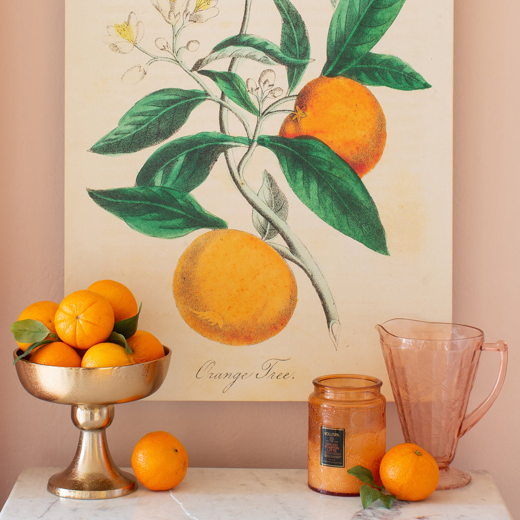 orange tree botanical canvas