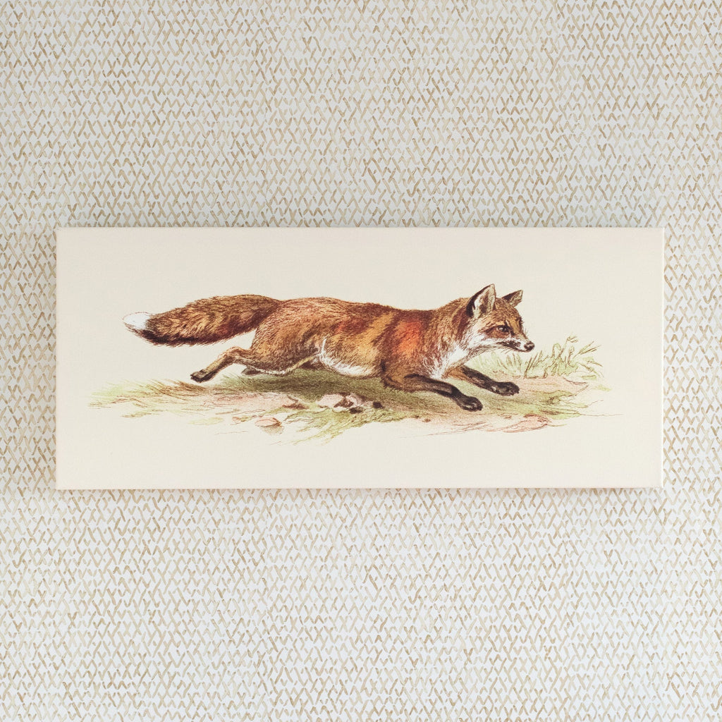 foxy on the run canvas