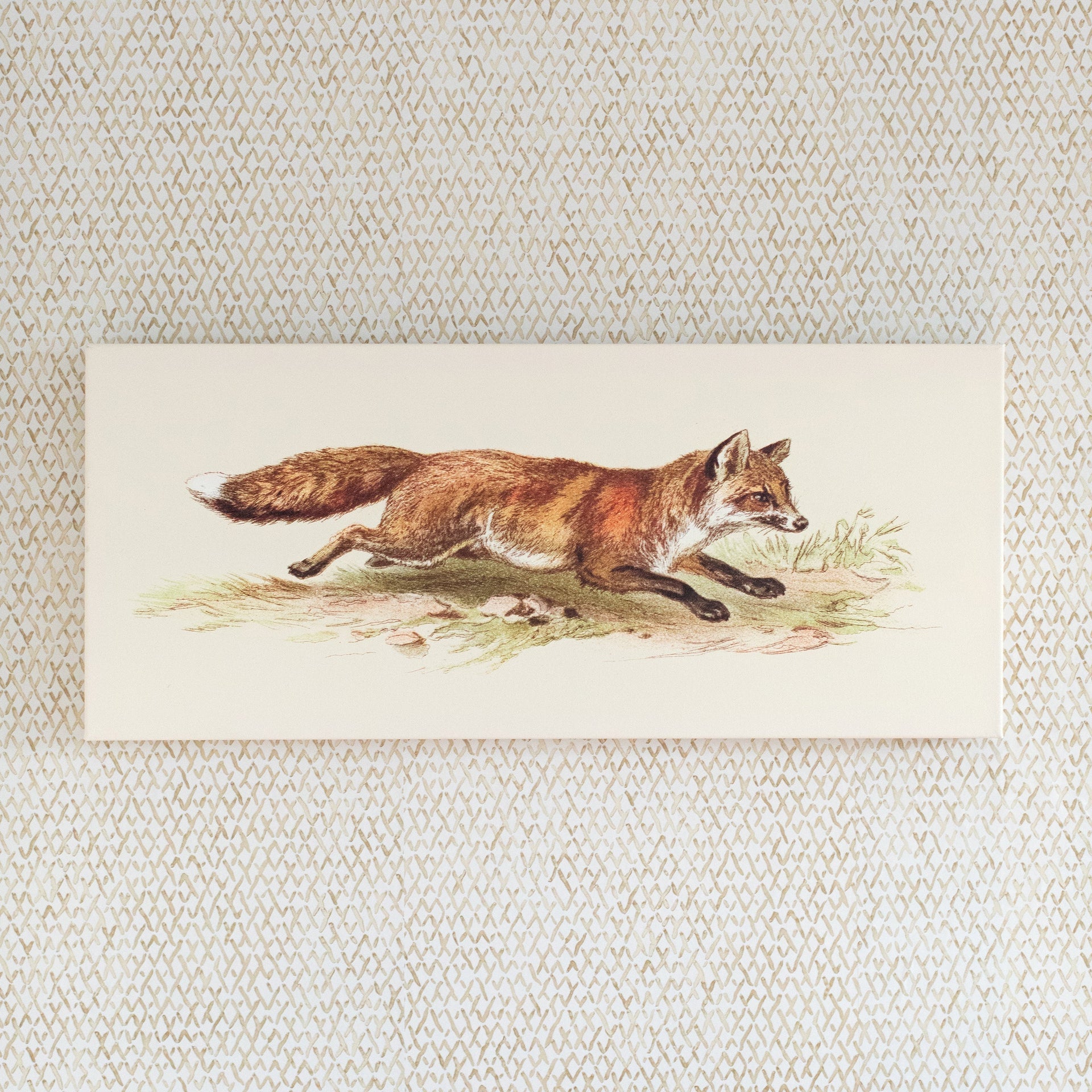 Foxy on the Run | Canvas