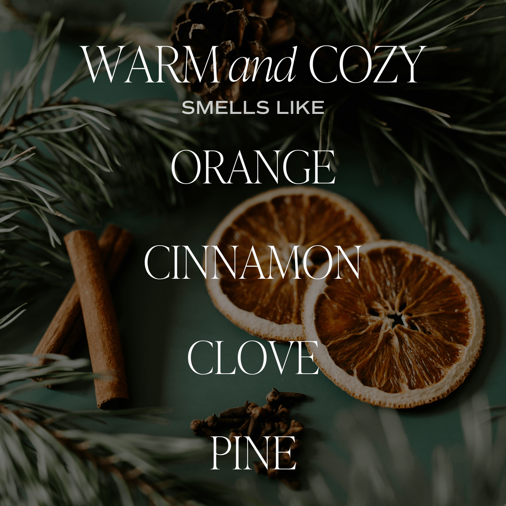 Warm and Cozy Soy Candle (15oz Tan Matte Jar)