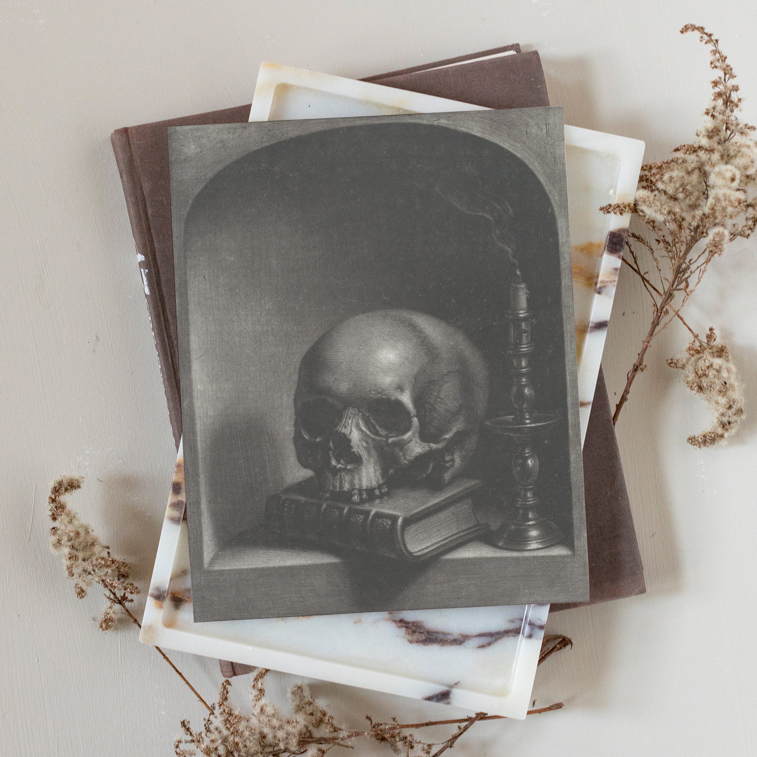 Skull Still Life in Niche | Art Print