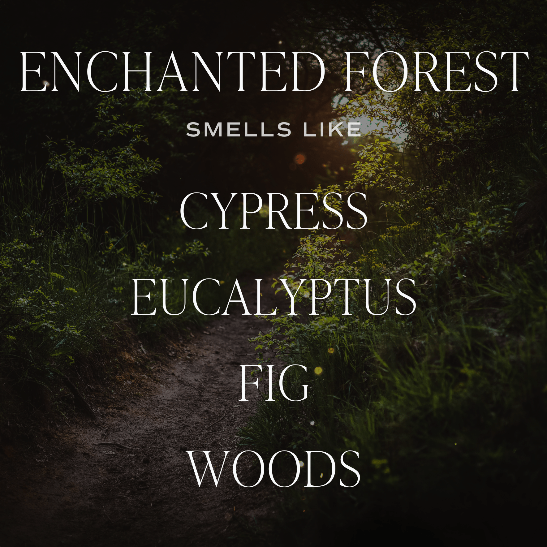 Enchanted Forest Soy Candle (15oz Green Matte Jar – Cypress and Fig)