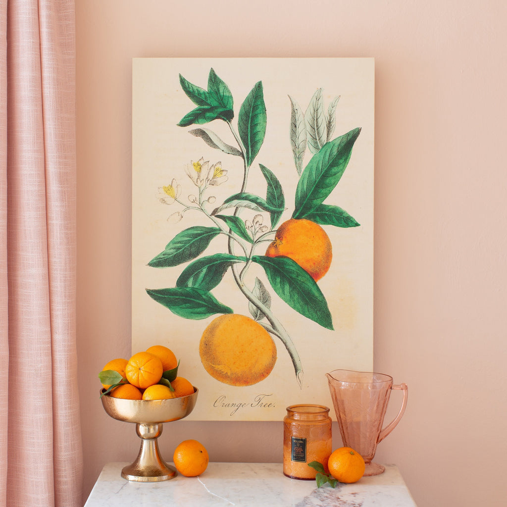 orange tree botanical canvas