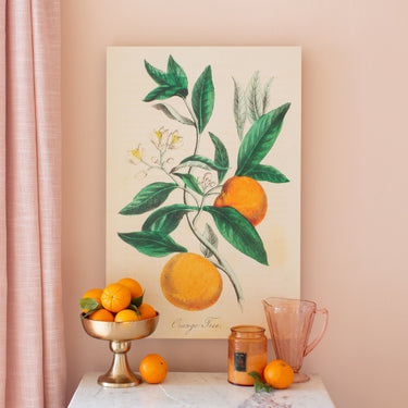 Orange Tree Botanical | Canvas