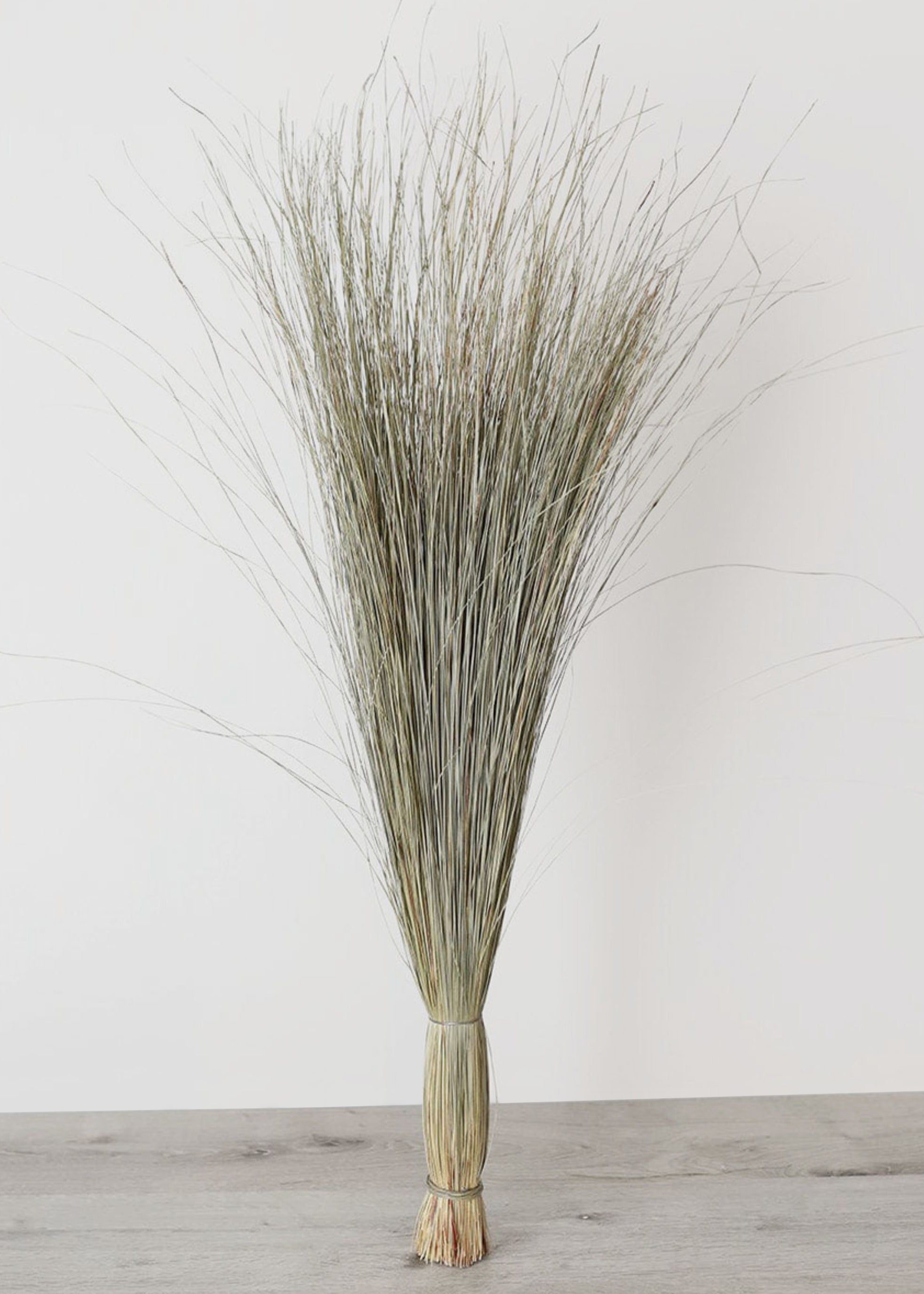 Preserved Coastal Dune Grass - 36"