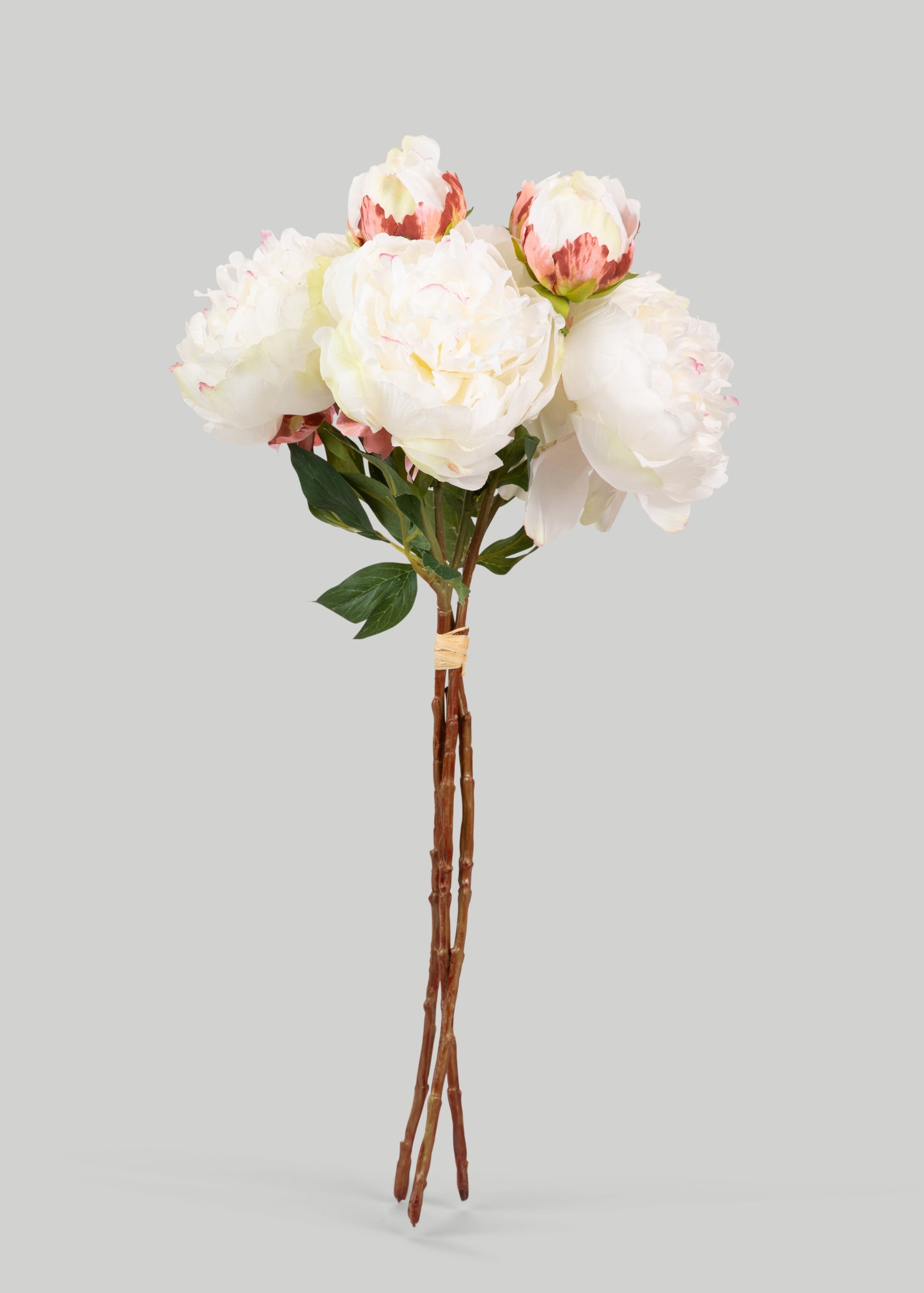Cream Peony Faux Flower Bundle of Peonies - 21"