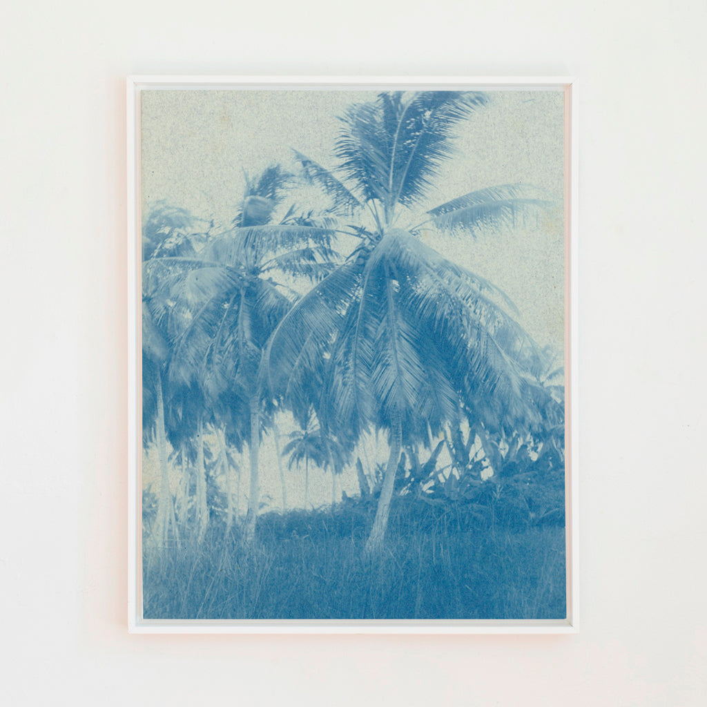 Cyanotype Palms | Canvas