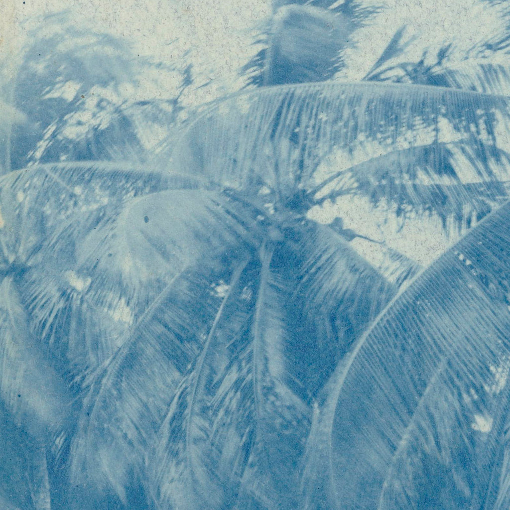 Cyanotype Palms | Canvas
