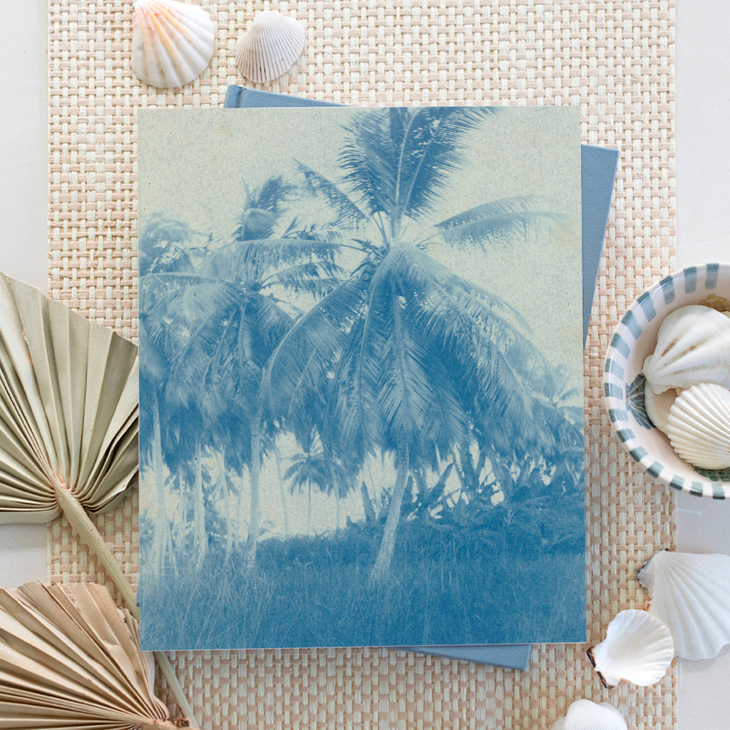 Cyanotype Palms | Canvas