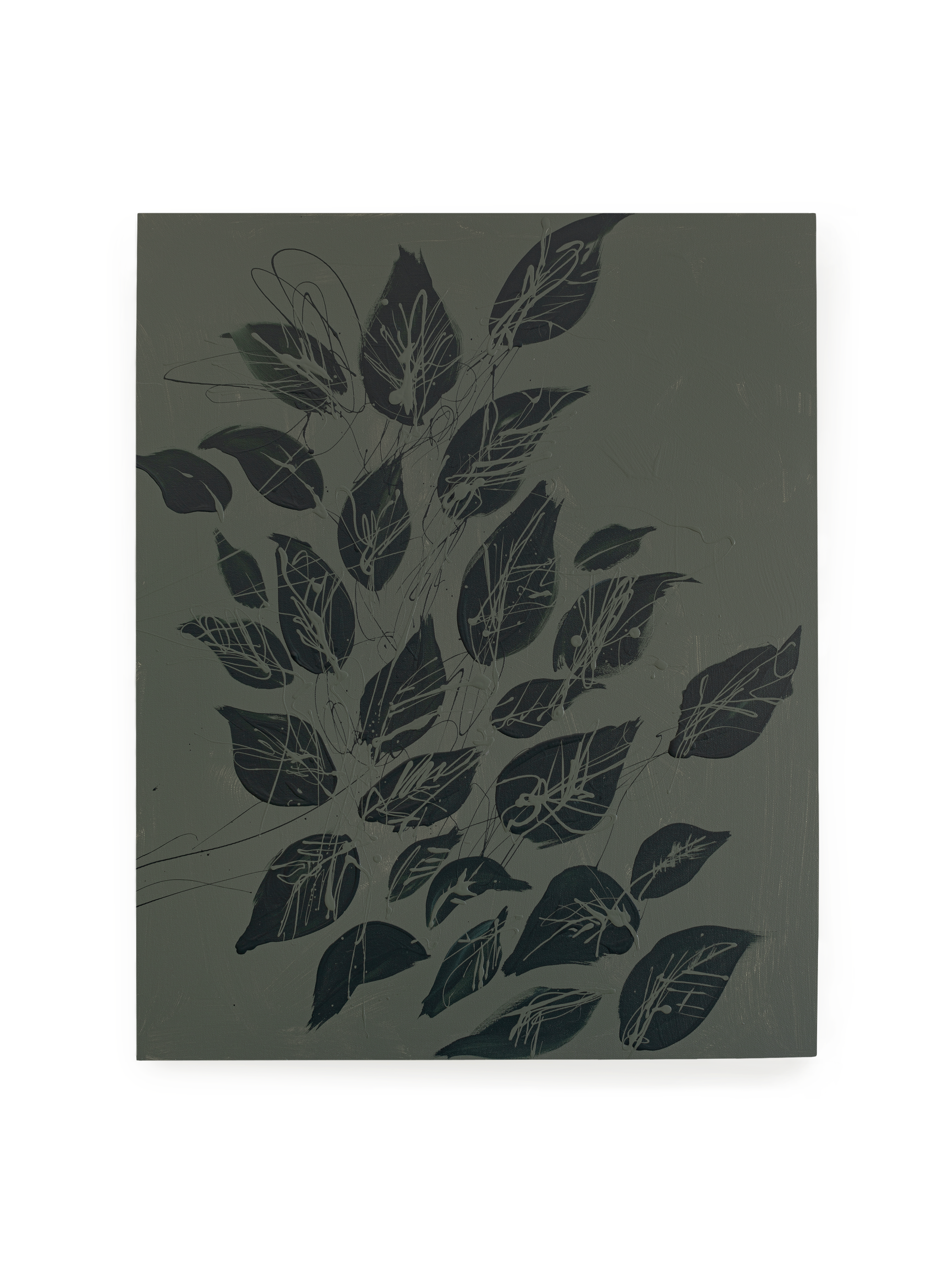 Canopy at Night | Art Print