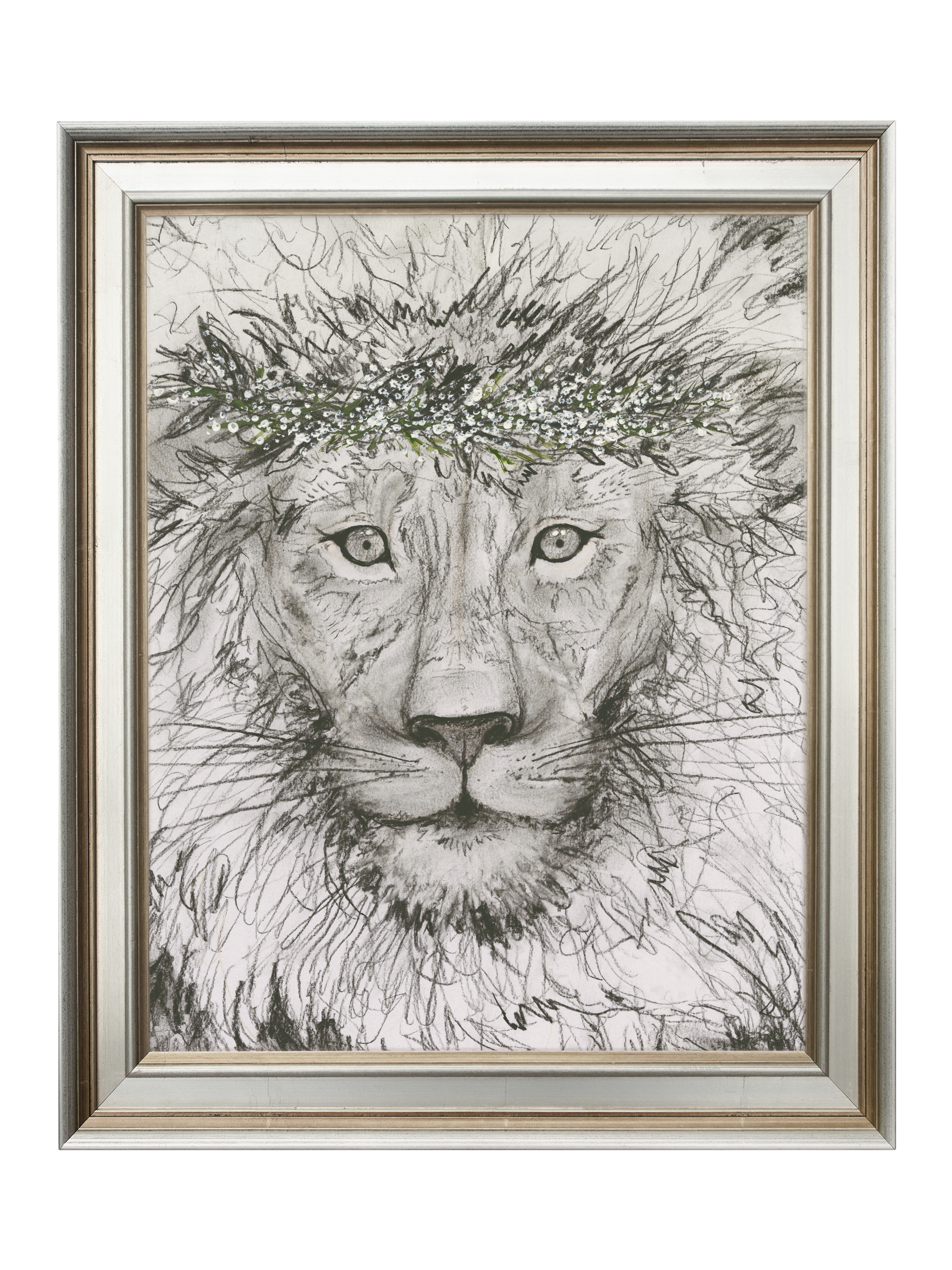 Aslan  | Canvas