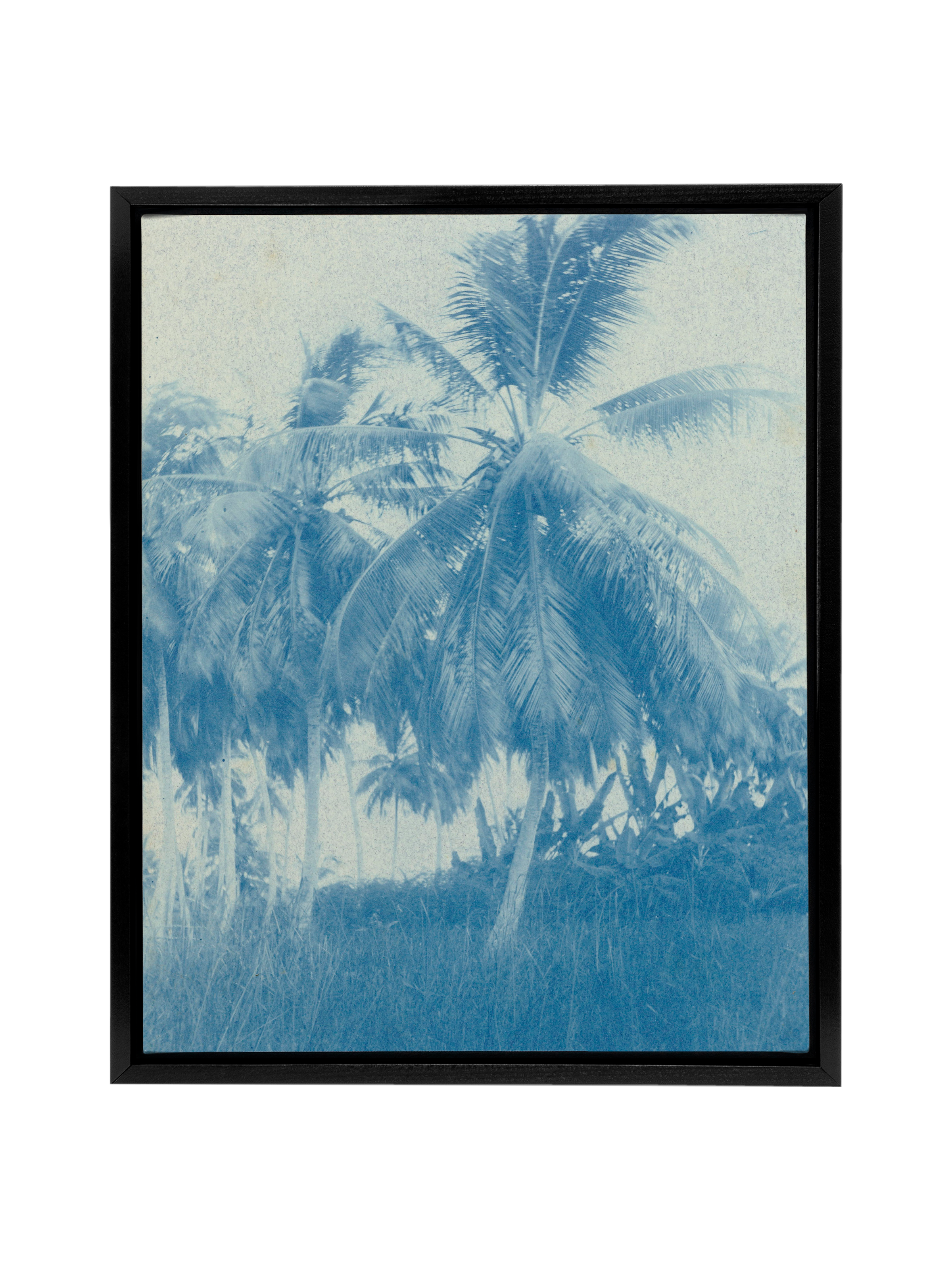 Cyanotype Palms | Canvas
