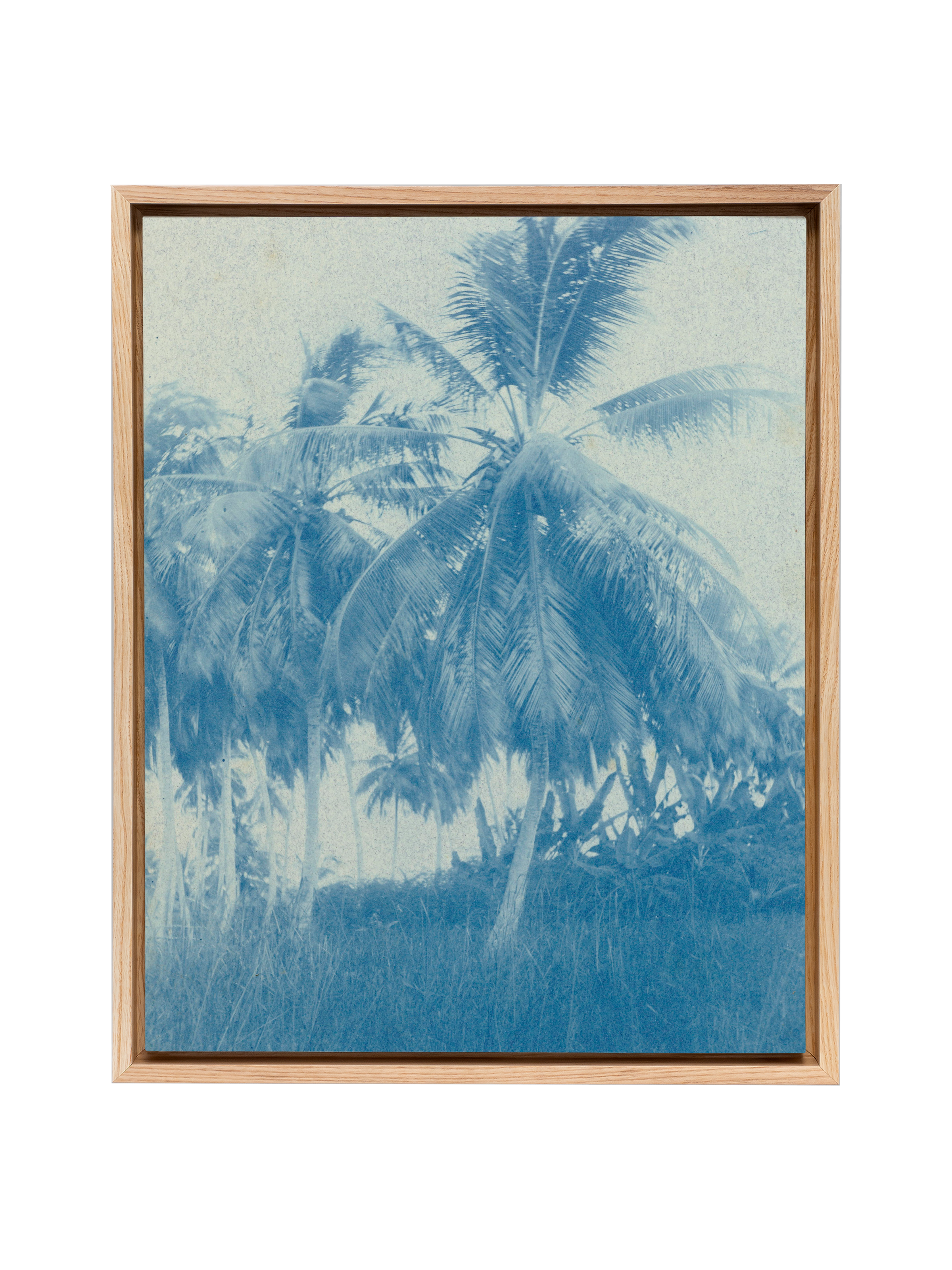 Cyanotype Palms | Canvas