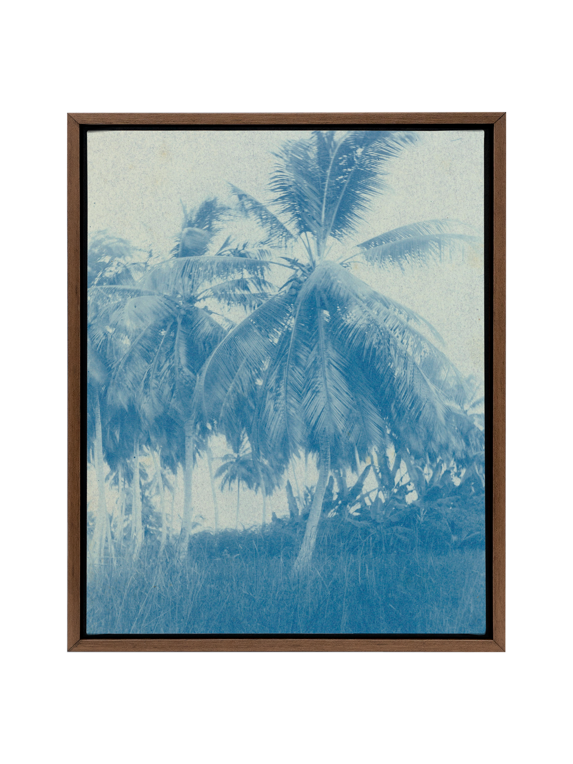 Cyanotype Palms | Canvas