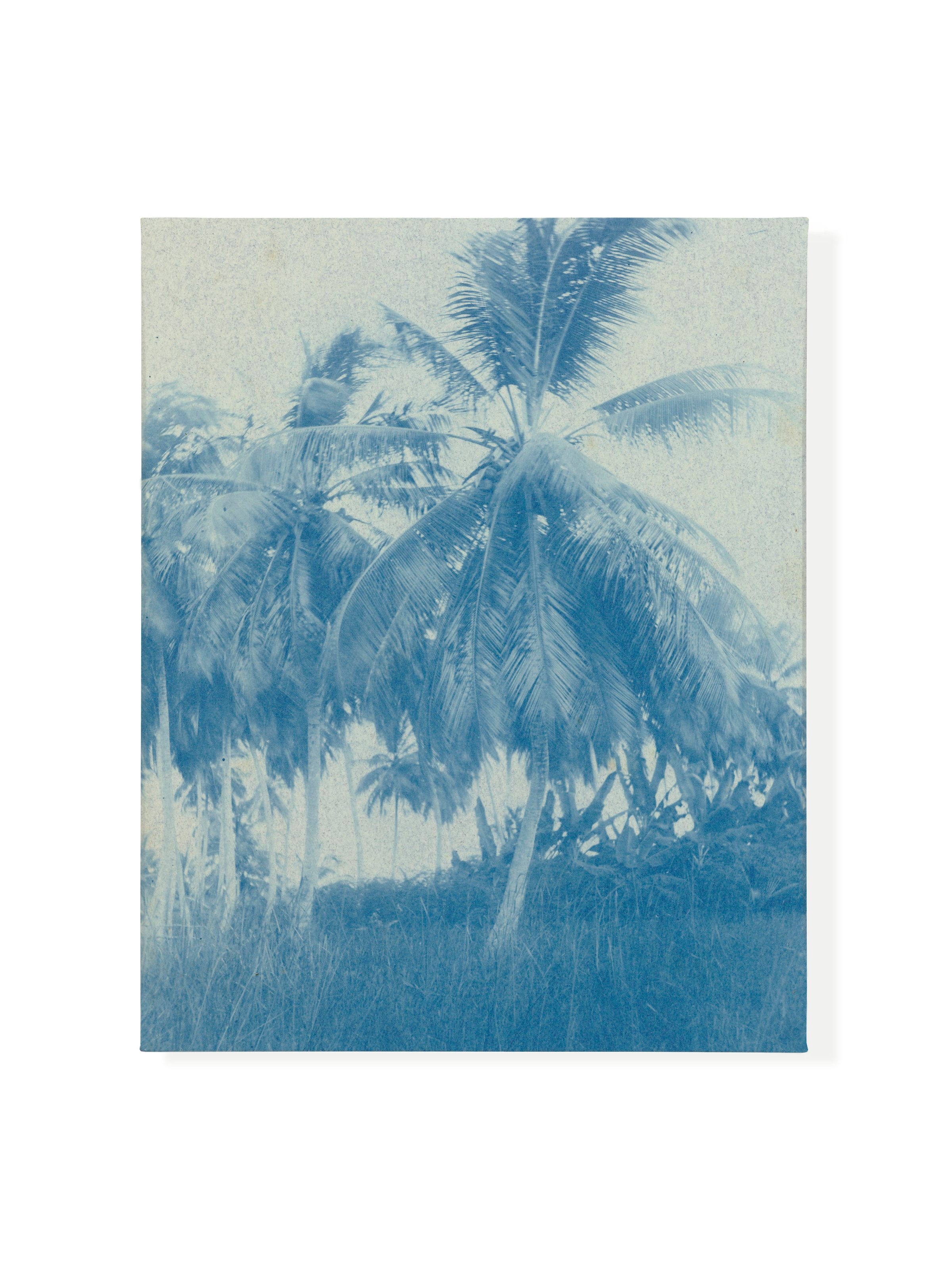 Cyanotype Palms | Canvas