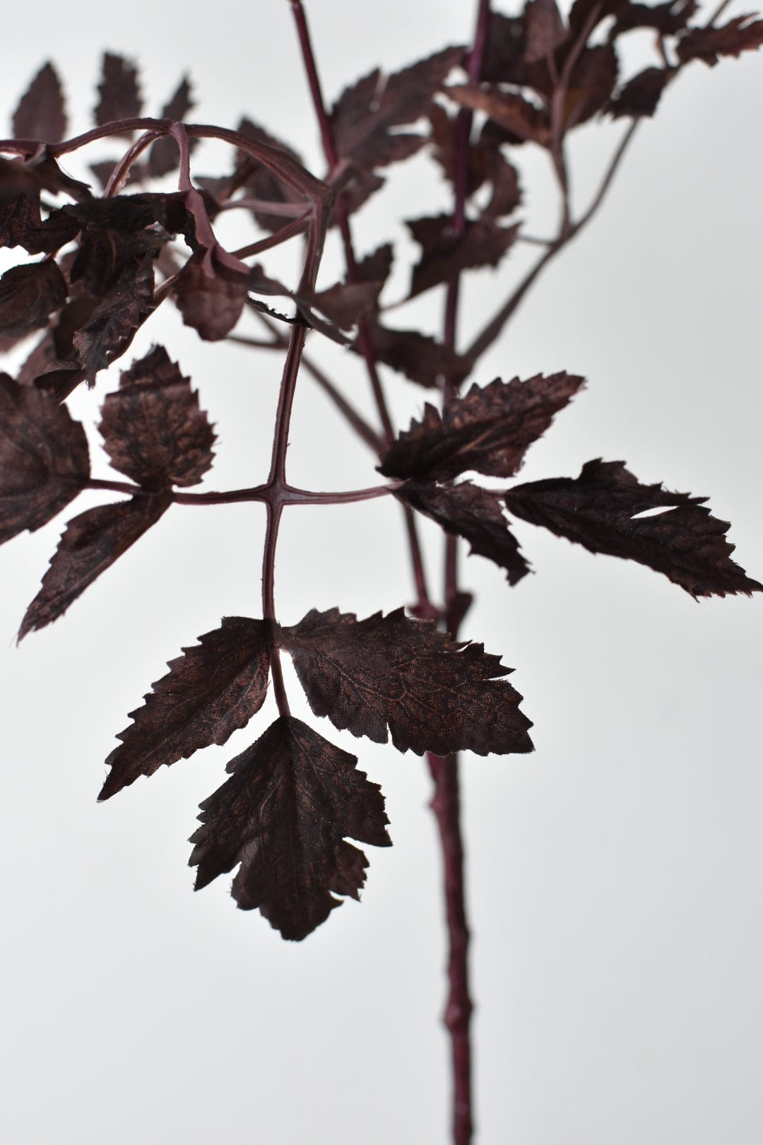 31" Faux Cimicifunga Ramosa Stem: Plum