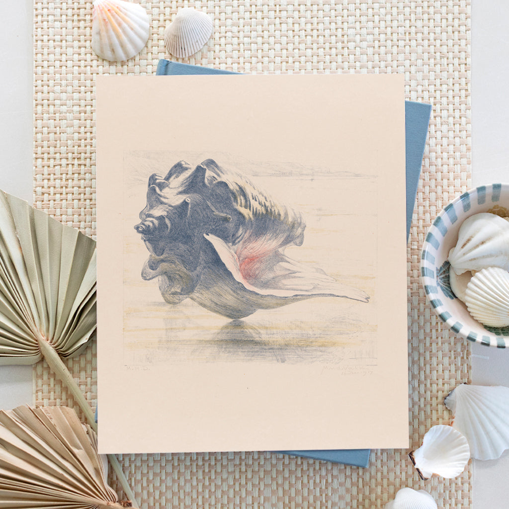 Pastel Conch Shell | Art Print