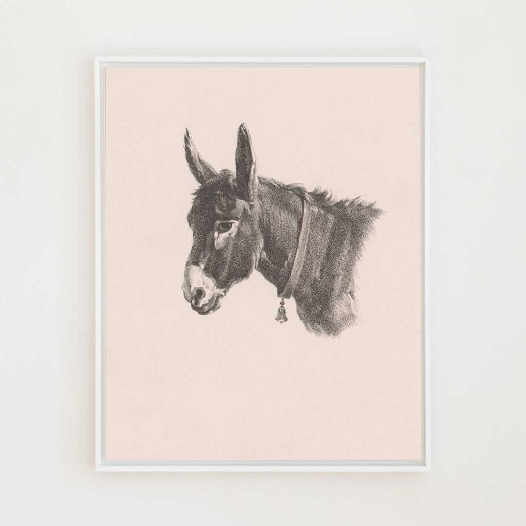 Burro Sketch Canvas Wall Art