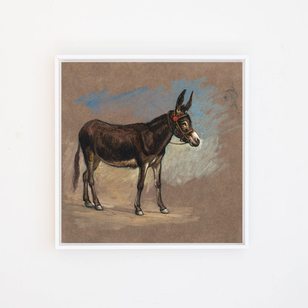 Donkey Canvas Wall Art. Square