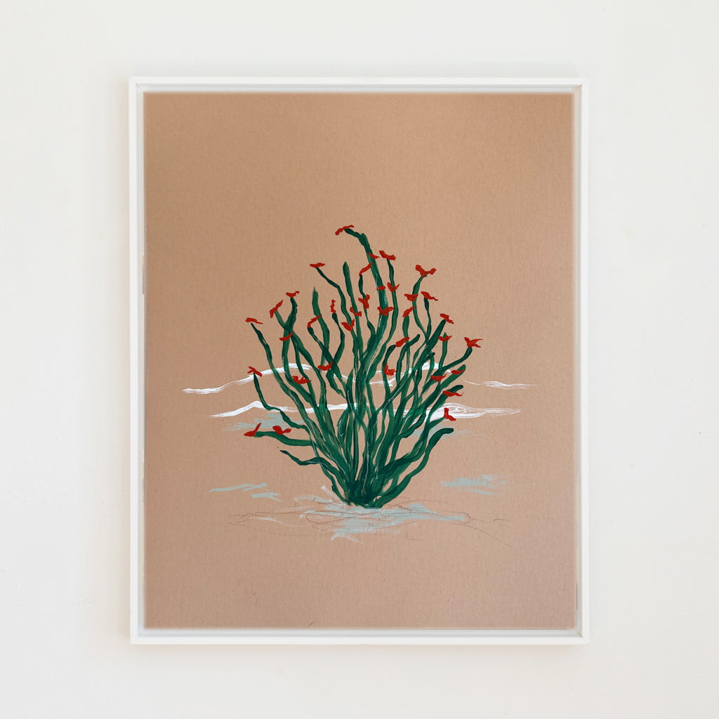 Blazing Ocotillo Canvas Wall Art