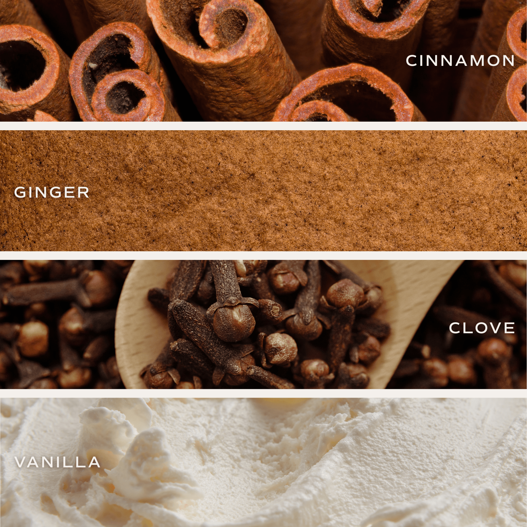 Gingerbread and Spice Soy Candle (Brown Matte Jar 15 oz)