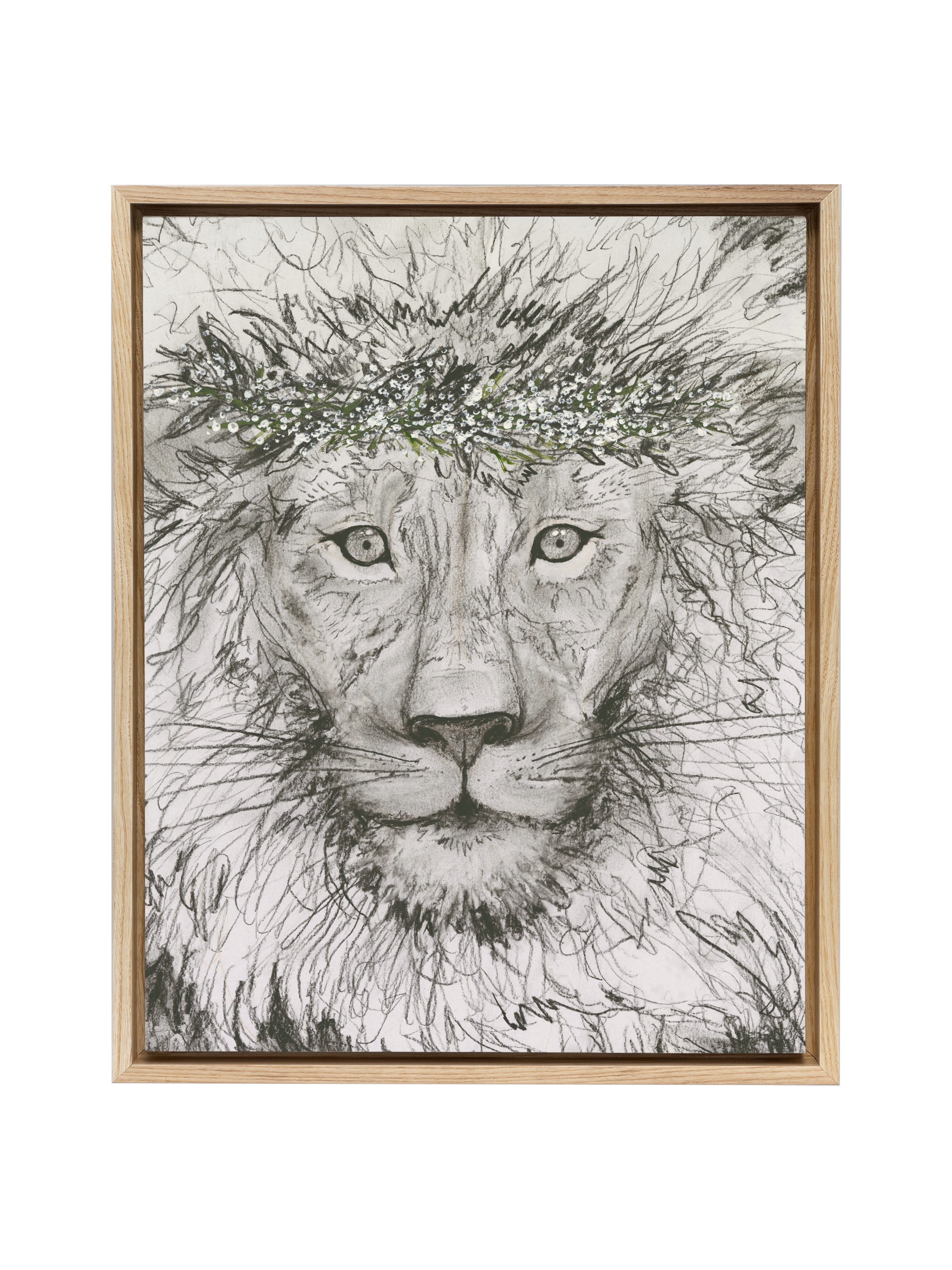 Aslan  | Canvas