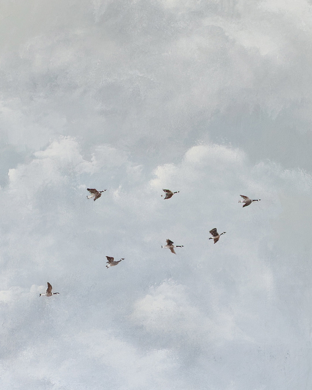 Noble Geese Canvas Wall Art
