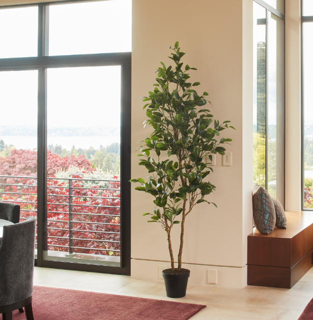 7' Citrus Lemon Tree