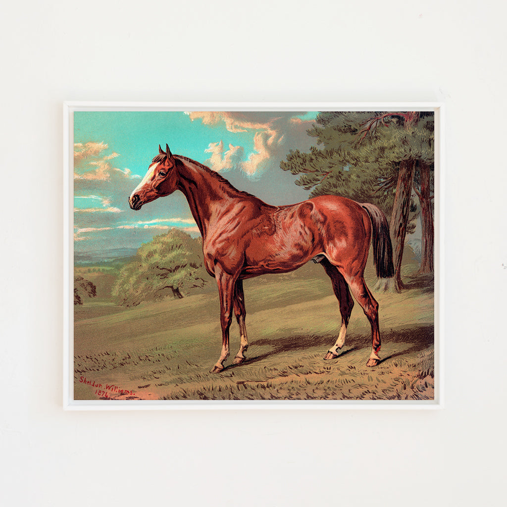 horse against aqua sky canvas