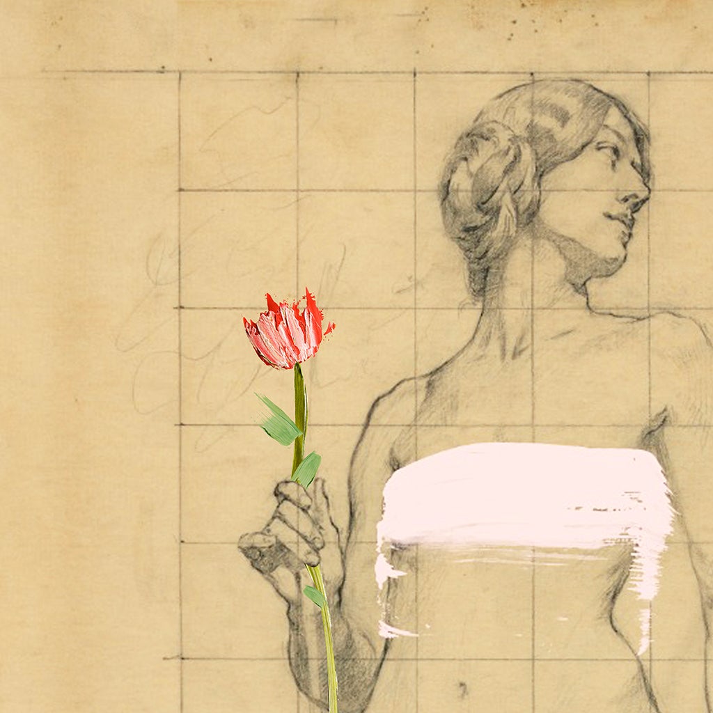 Painted Lady | Art Print