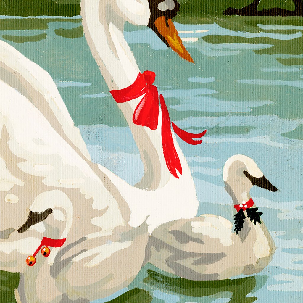 swans a swimming paint by number canvas