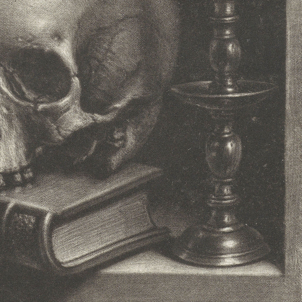 Skull Still Life in Niche | Canvas