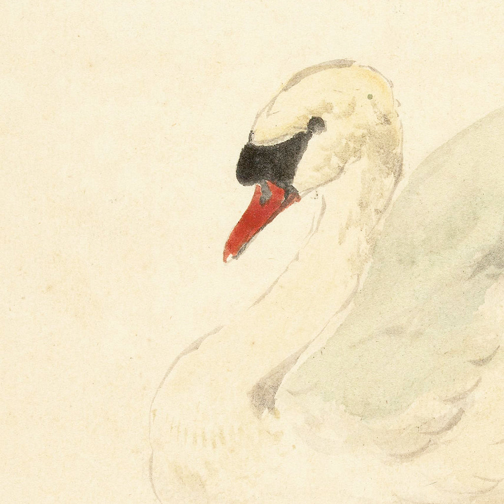 ivory swan design details
