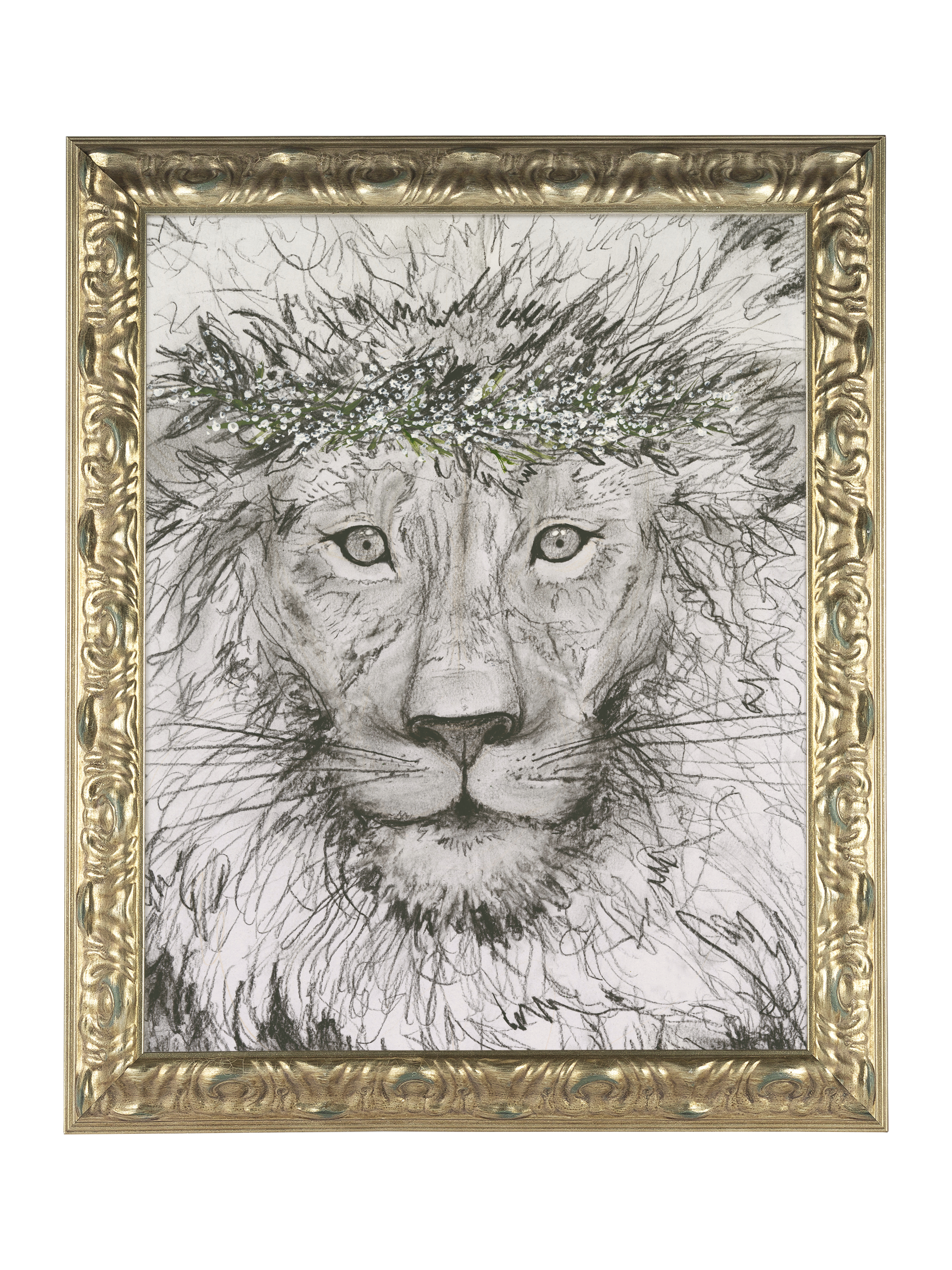 Aslan  | Canvas