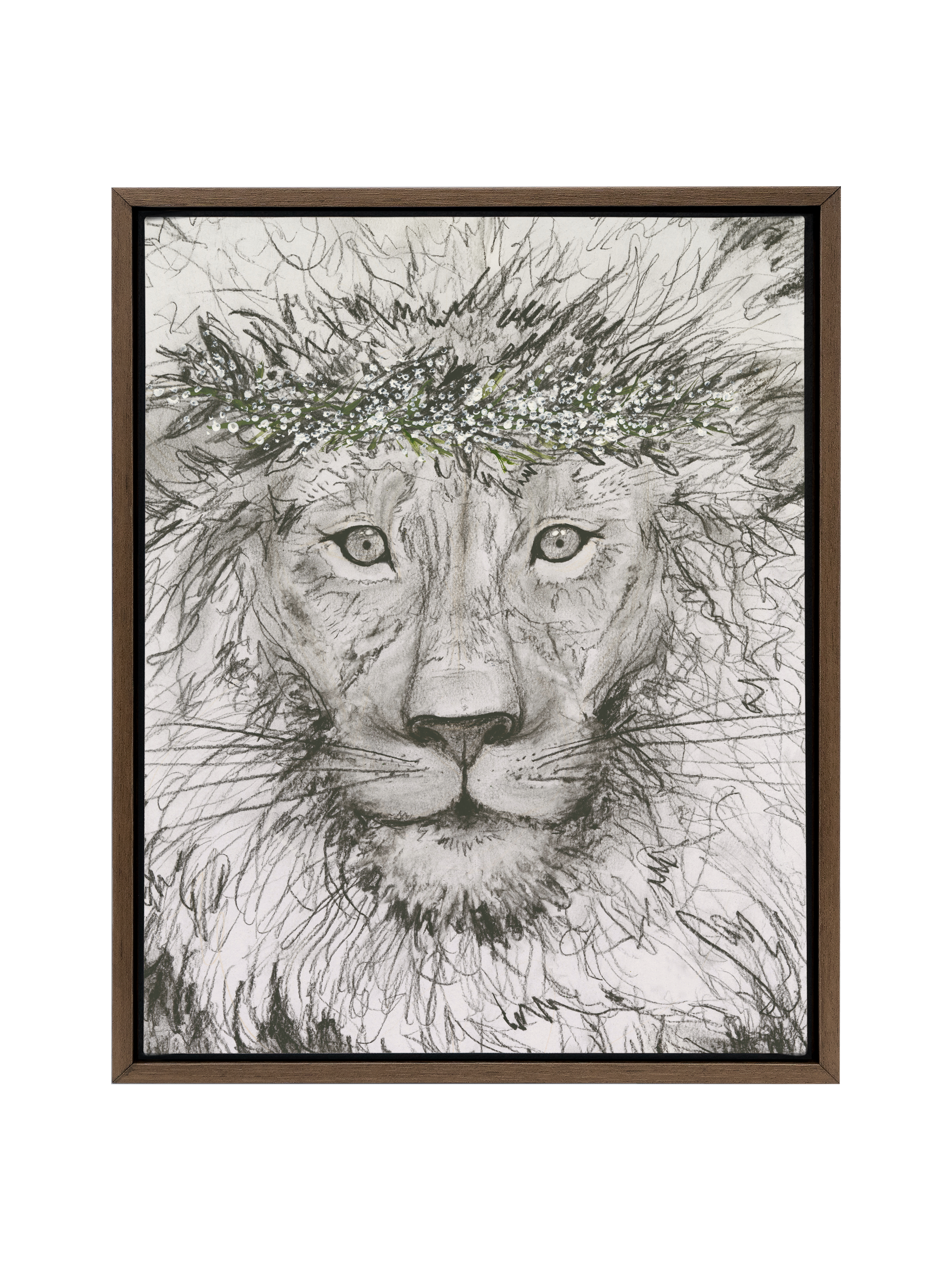 Aslan  | Canvas